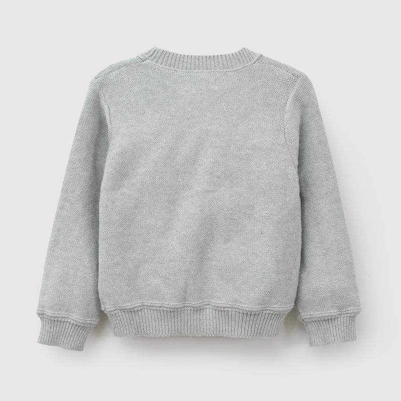 p-chla0106v27-2