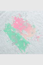 p1je0411v24-3