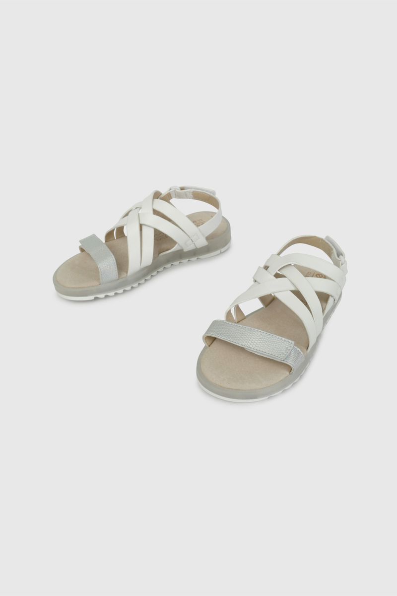 53240210v26-4