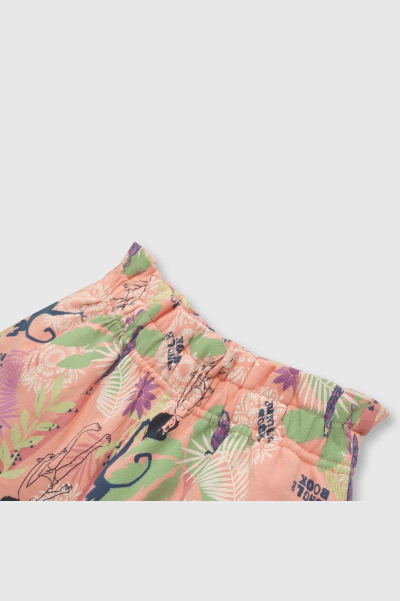 shpo0483v24-4