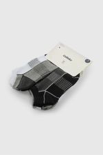 c1pe0301v26-2