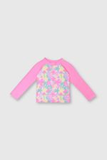 poly0484v24-1