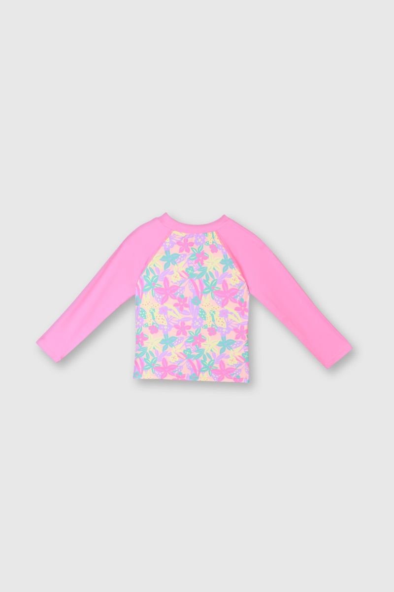 poly0484v24-2