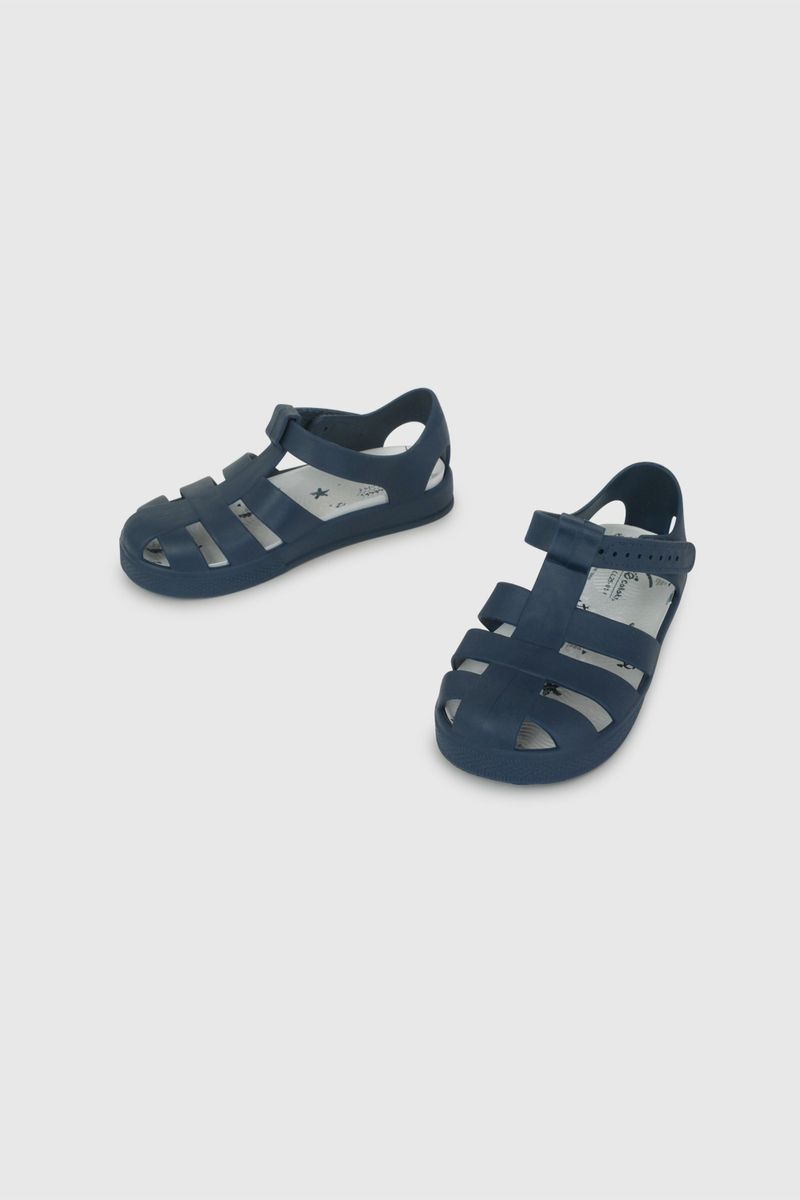 43271050v26-4