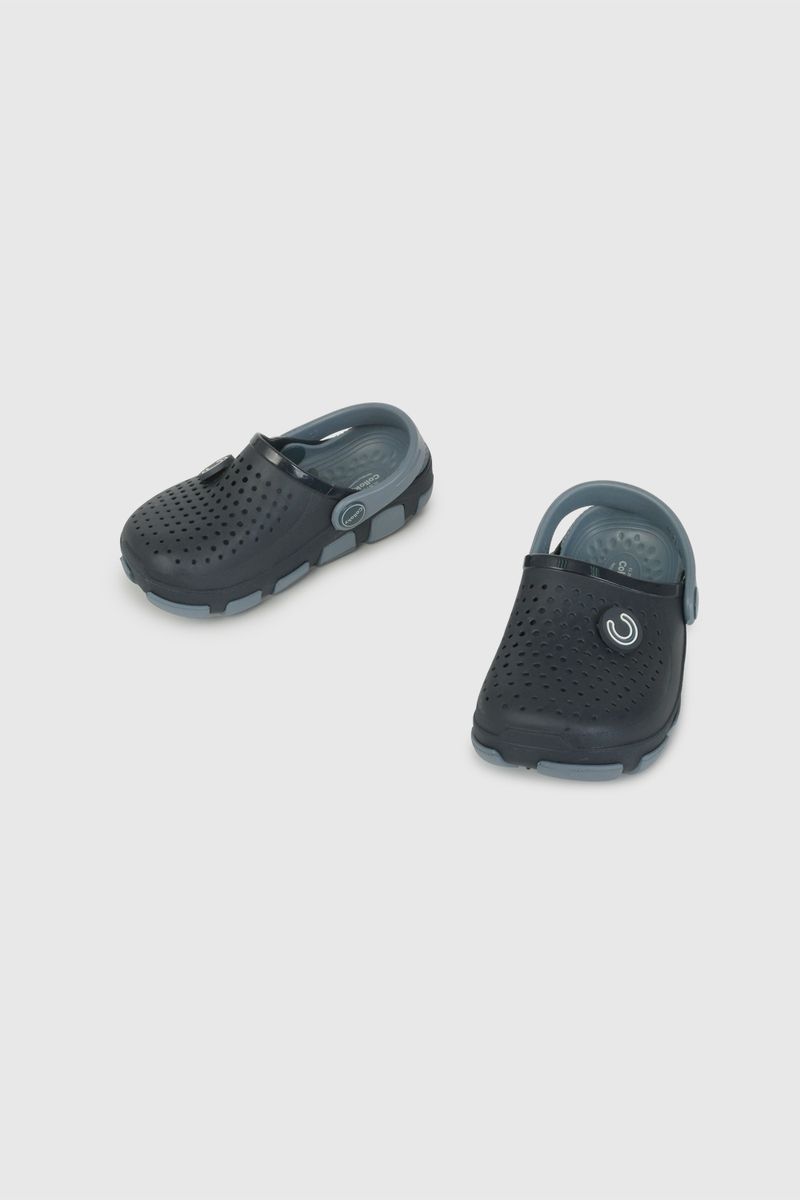 43291050v26-4