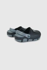 43291050v26-5