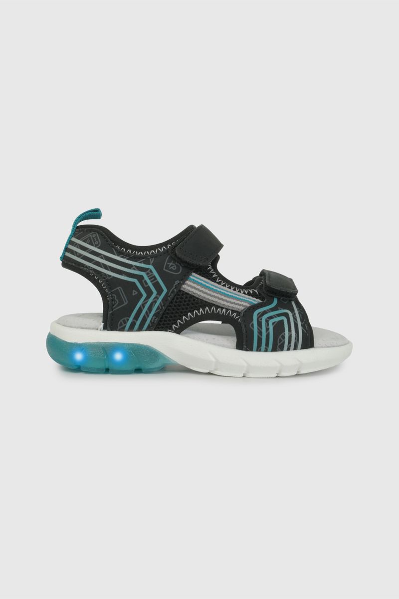 43110201v26-2
