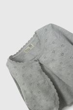 chla1006v26-3