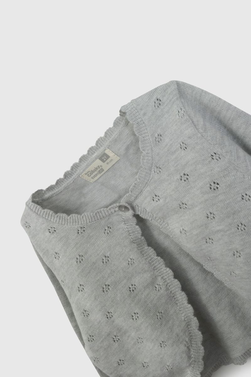 chla1006v26-3