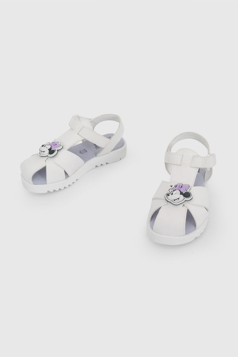 43840209v26-4