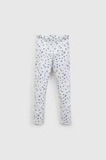 papy0440v26-1