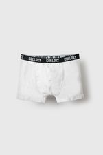 bxsx0311i25-4