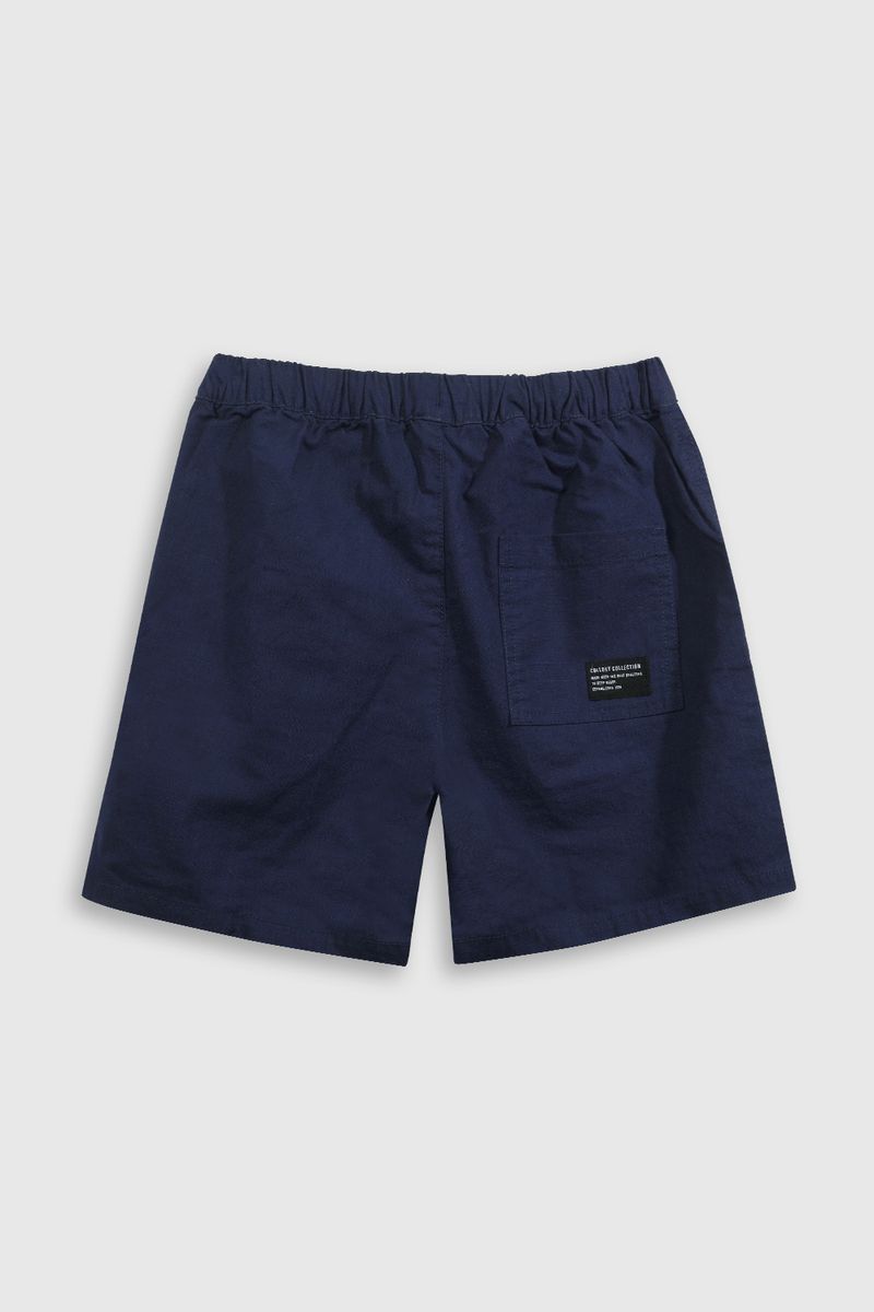 bdal0350v25-2