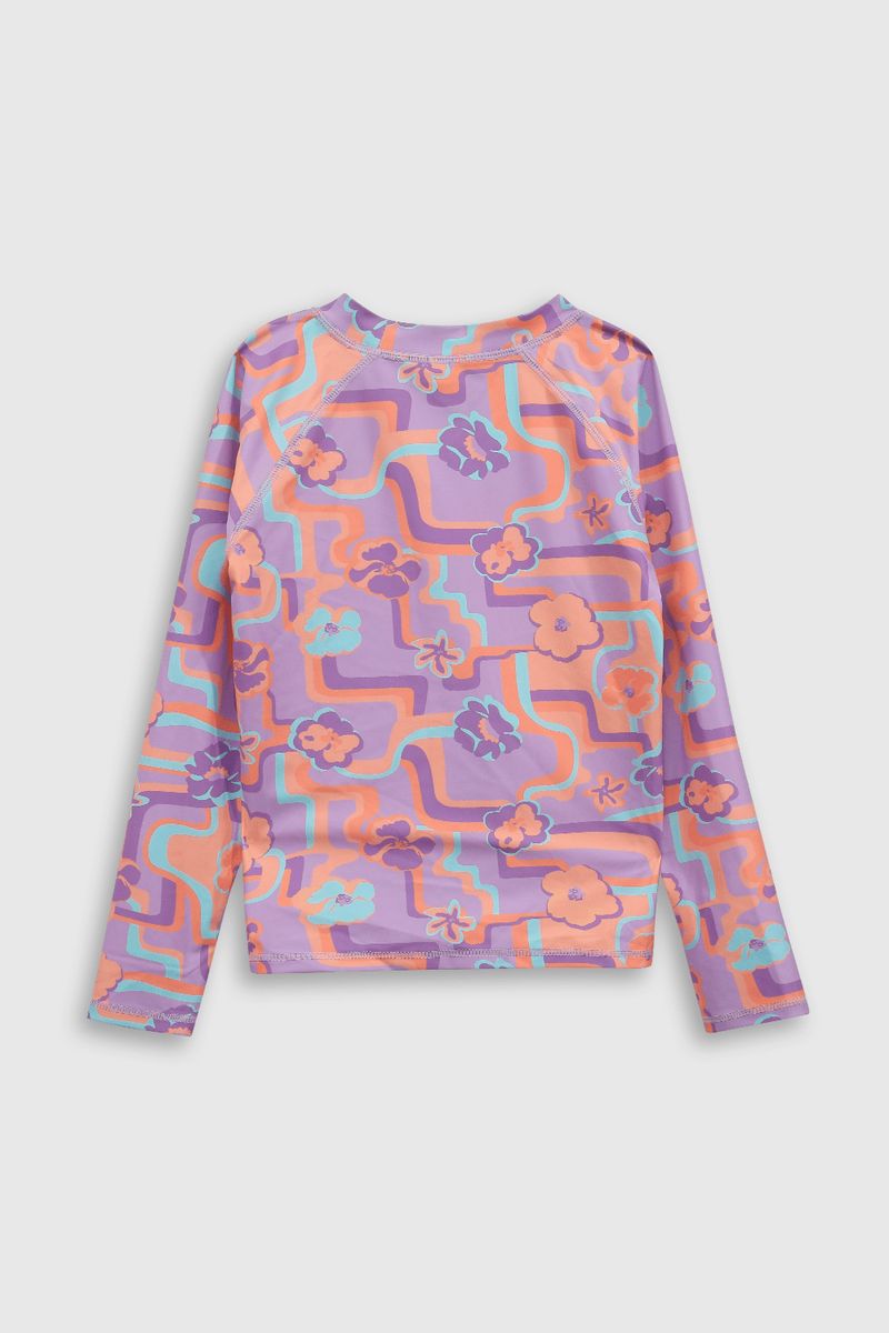 poly0687v25-2