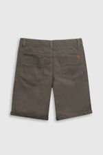 bdgb0390v25-2