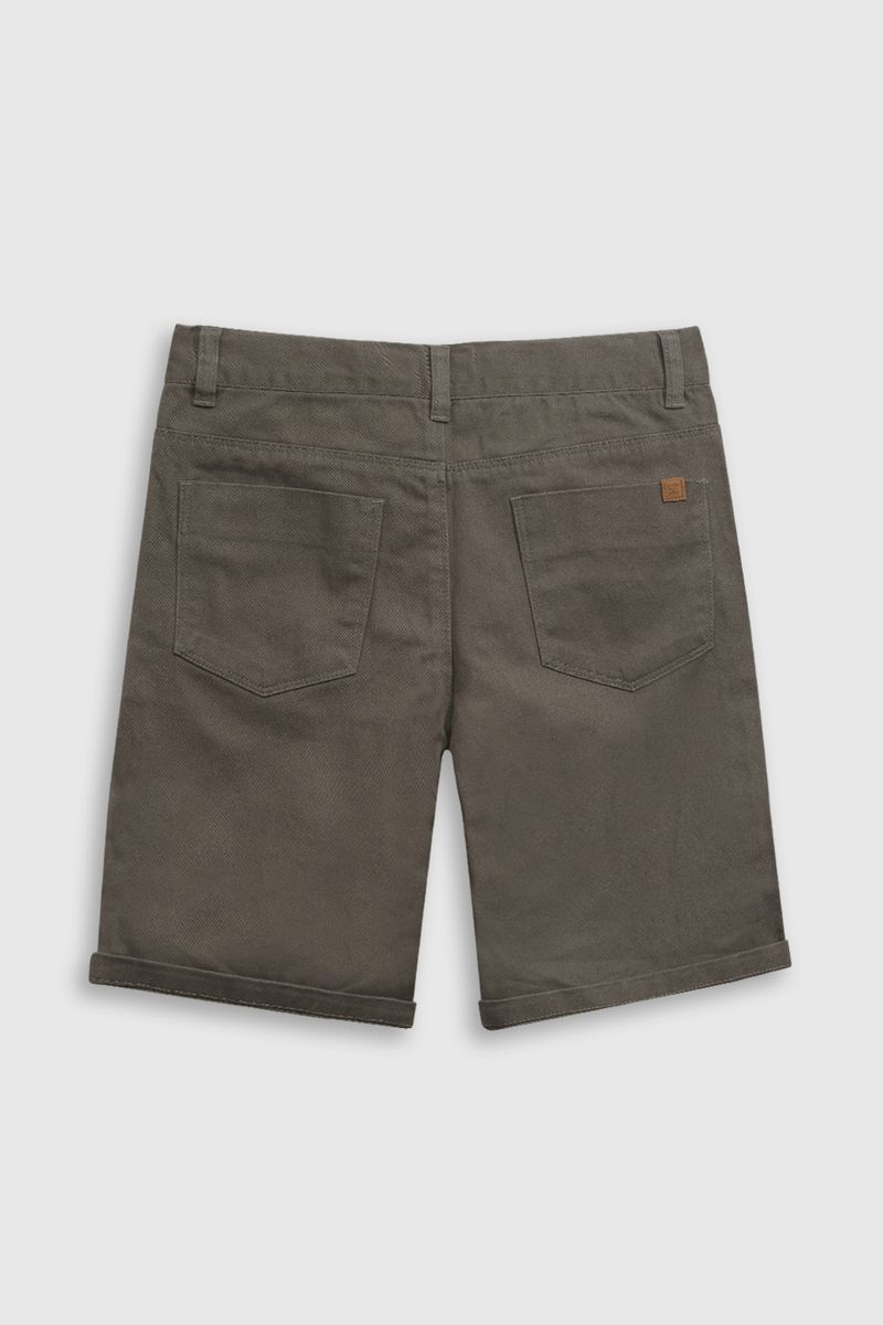 bdgb0390v25-2