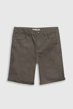 bdgb0390v25-1