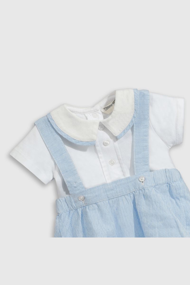 cdpn0010v25-5