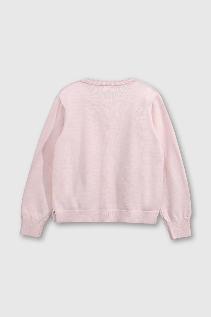 chla0430v25-2