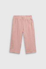 ptbm0429v25-1