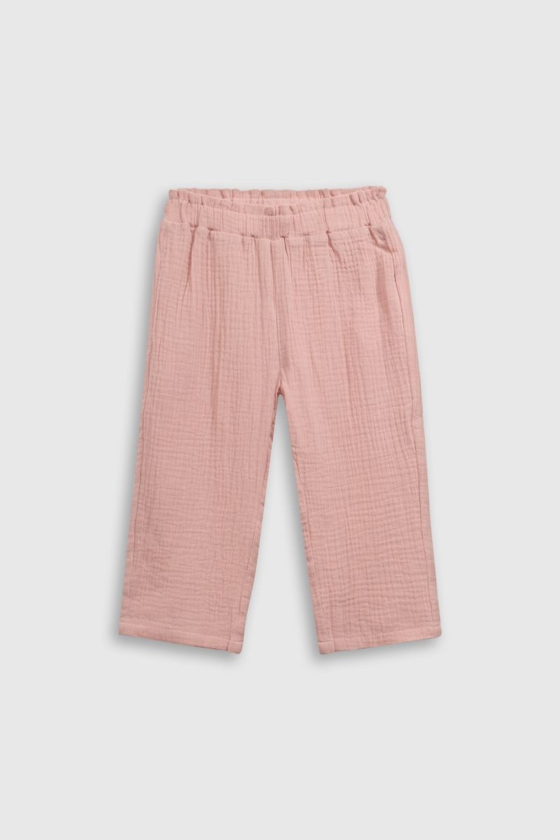 ptbm0429v25-1