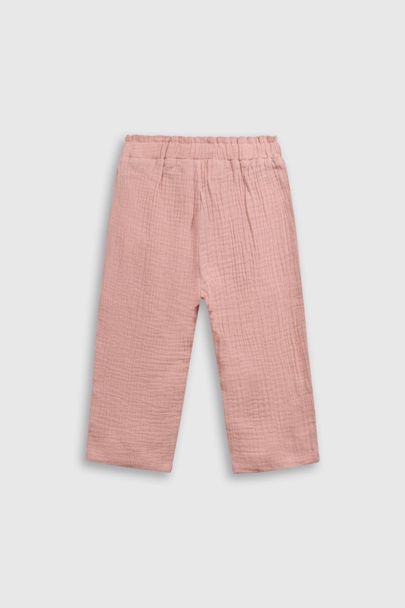 ptbm0429v25-2