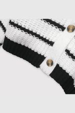chla0209v25-3
