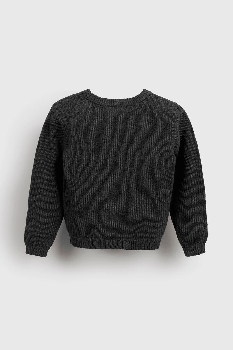 swla0302i25-2
