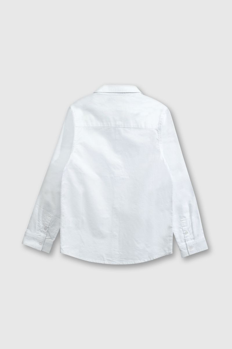caox0110v25-2