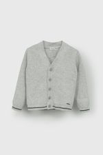 chla0106i25-1