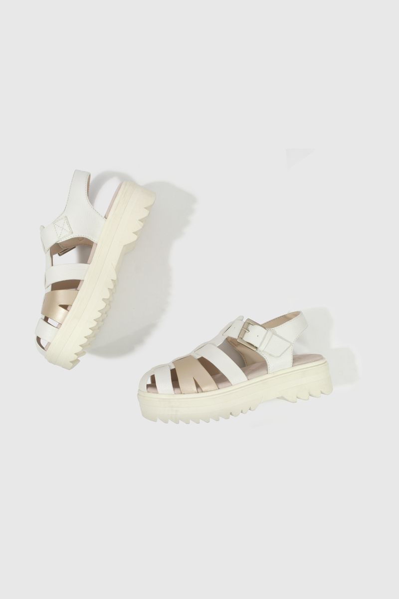 53040210v25-4