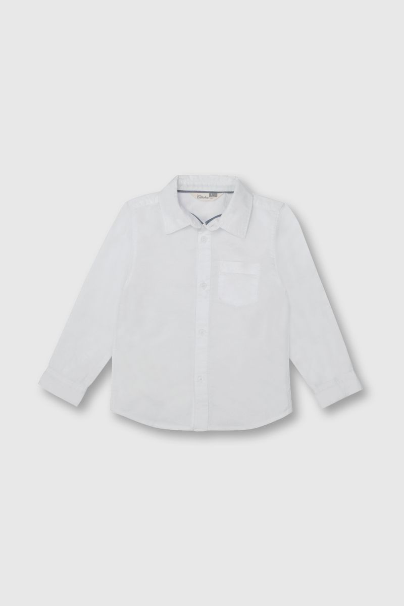 caox0110v24-1