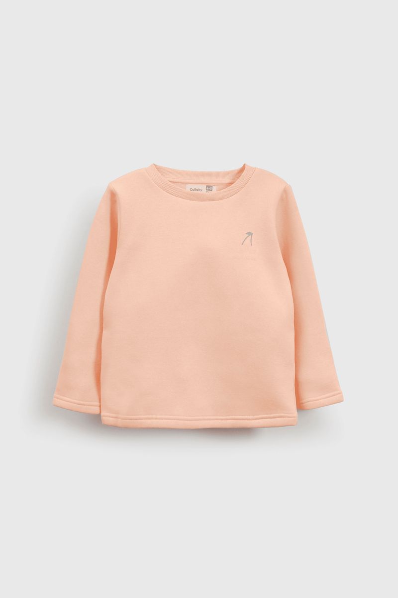 pjpo0843i25-2