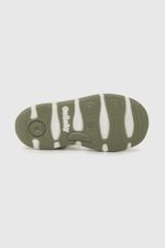 33030293v24-3