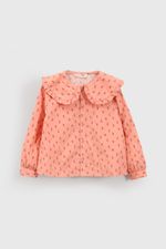blco0229i25-1