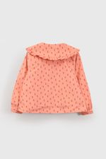 blco0229i25-2