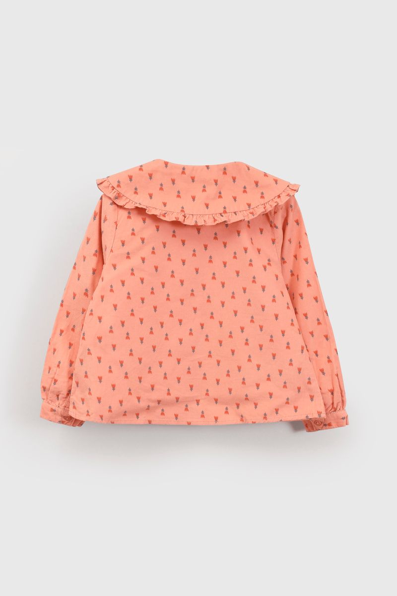 blco0229i25-2
