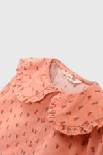 blco0229i25-3
