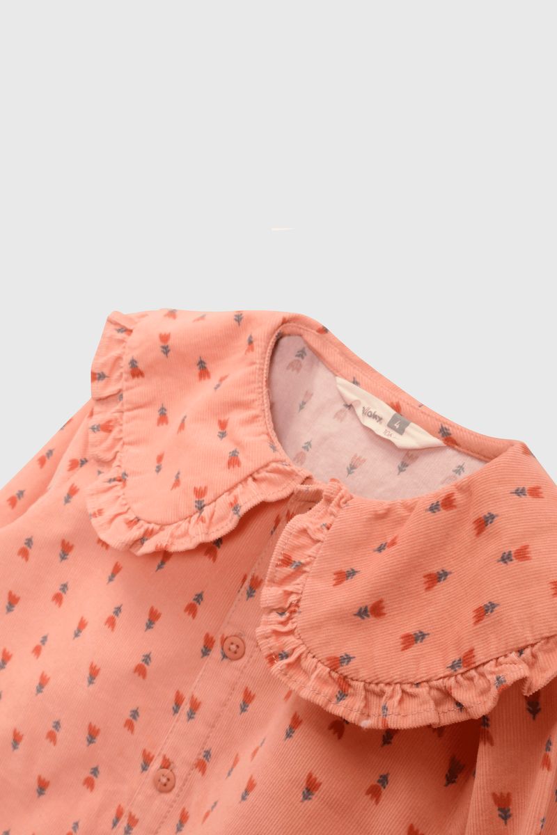 blco0229i25-3