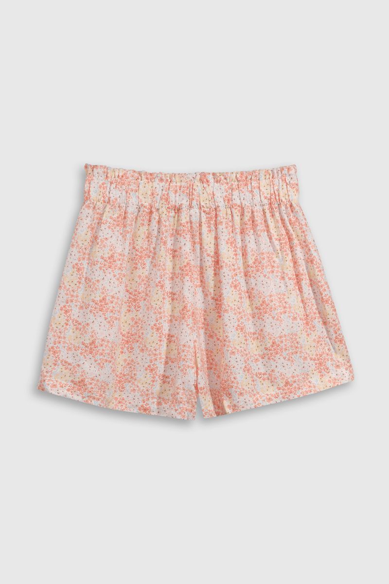 shvs0298v25-2