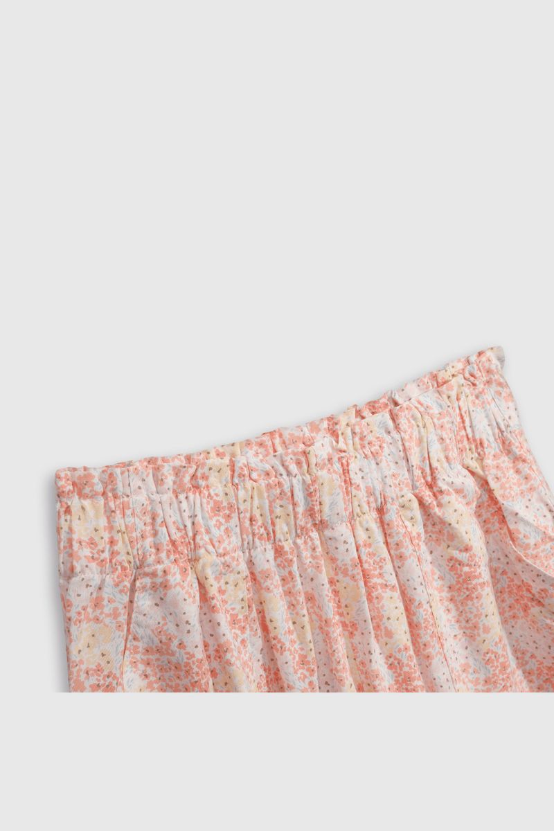 shvs0298v25-3