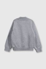 chla0106v25-2