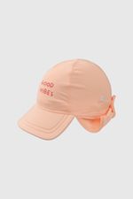 joly0843v25-1