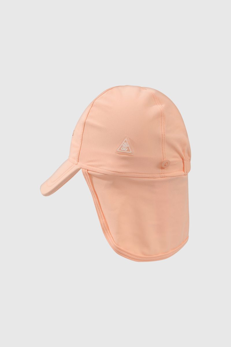 joly0843v25-4