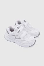 58990210v25-1