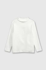 bepu0110i24-1