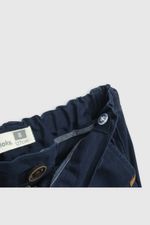 bdgb0151v25-3