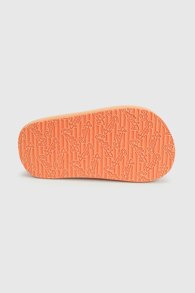43480382v24-3