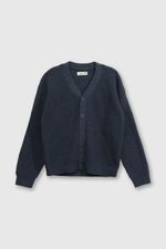 chla0551v25-1