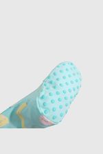 pjje0456v25-4